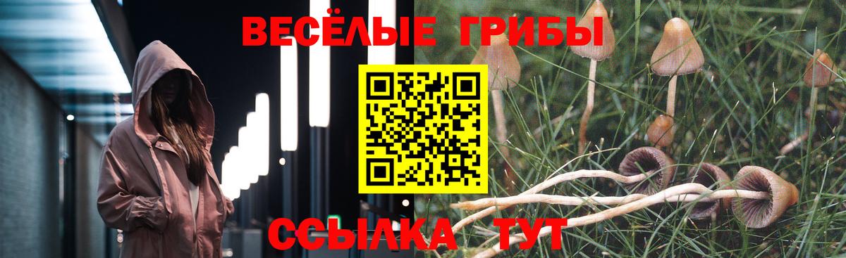 Галлюциногенные грибы прущие грибы Сальск